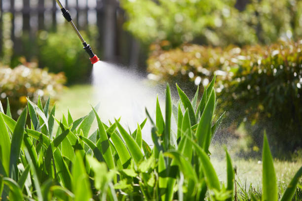24/7 Emergency Cockroach Control experts in Woodbridge, CA